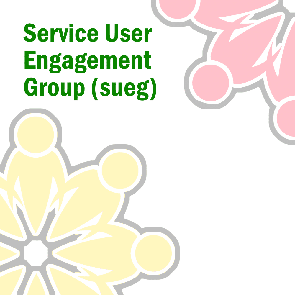 Service User Engagement Group