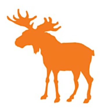 bigmoose life stories – theme men’s mental health