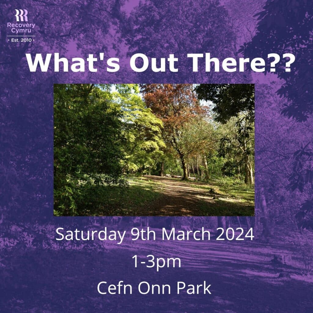 What's out there - recovery cymru event